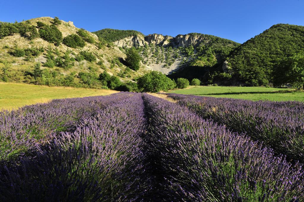 Vvf Drome Provence Hotell Montbrun-les-Bains Exteriör bild